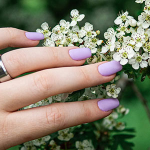 Jasmine Nails & Spa gallery